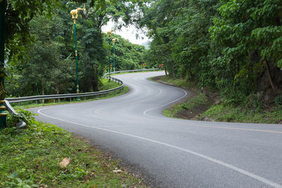 Empty road along trees