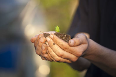 Close-up of hand holding plant