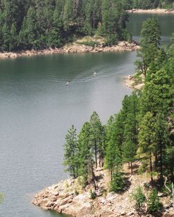 Scenic view of sea by tree mountain