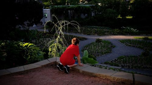 Rear view of boy kneeling at park during sunset