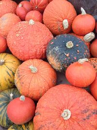 Full frame shot of pumpkins