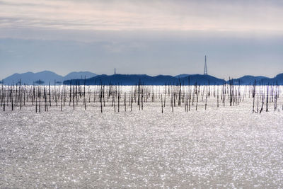 The view of various fishing nests off the coast of sinan county in south korea