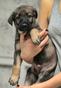 Portrait of puppy holding young woman