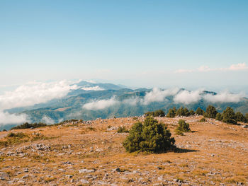 Scenic view of landscape against sky