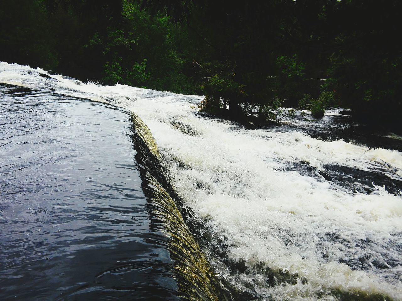 water, nature, river, waterfront, rippled, motion, beauty in nature, tranquility, flowing water, tree, lake, day, tranquil scene, outdoors, stream, forest, no people, sunlight, high angle view, scenics