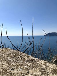 Scenic view of sea against clear sky