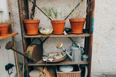 Potted plants and gardening equipment on rusty metal shelf against wall