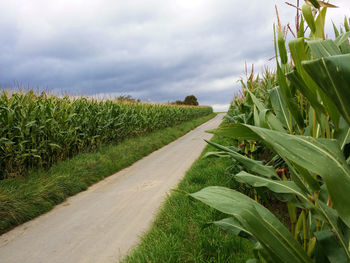 Road passing through field against cloudy sky