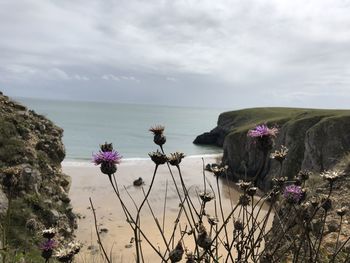 Scenic view of sea against cloudy sky