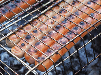 Close-up of animal on barbecue grill