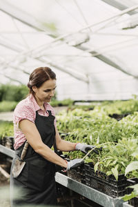 Female gardener examining potted plants in greenhouse