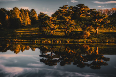 Reflection of trees in lake against sky