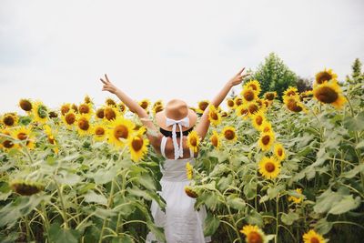 Rear view of woman with arms outstretched standing on sunflower field