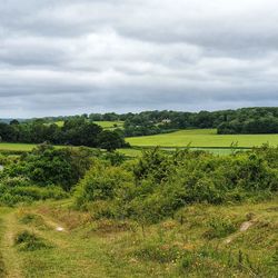 Scenic view of field against sky