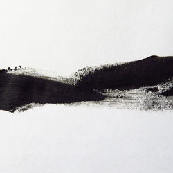 Close-up of horse in water against clear sky