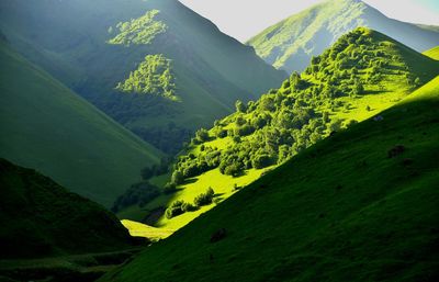 Scenic view of agricultural field against mountains