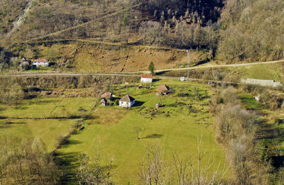 Rural landscape