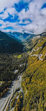 nature