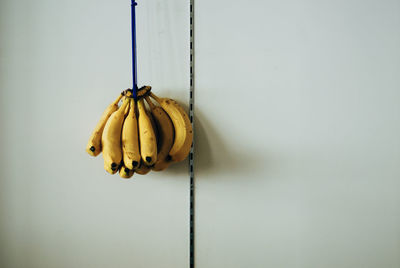 Close-up of fruits hanging against wall