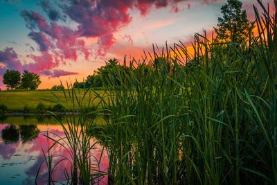 Scenic view of field against cloudy sky