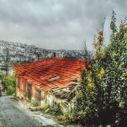 Plants against cloudy sky