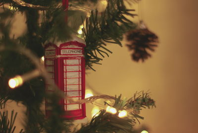 Illuminated christmas tree at night