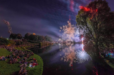 Illuminated trees by lake against sky at night