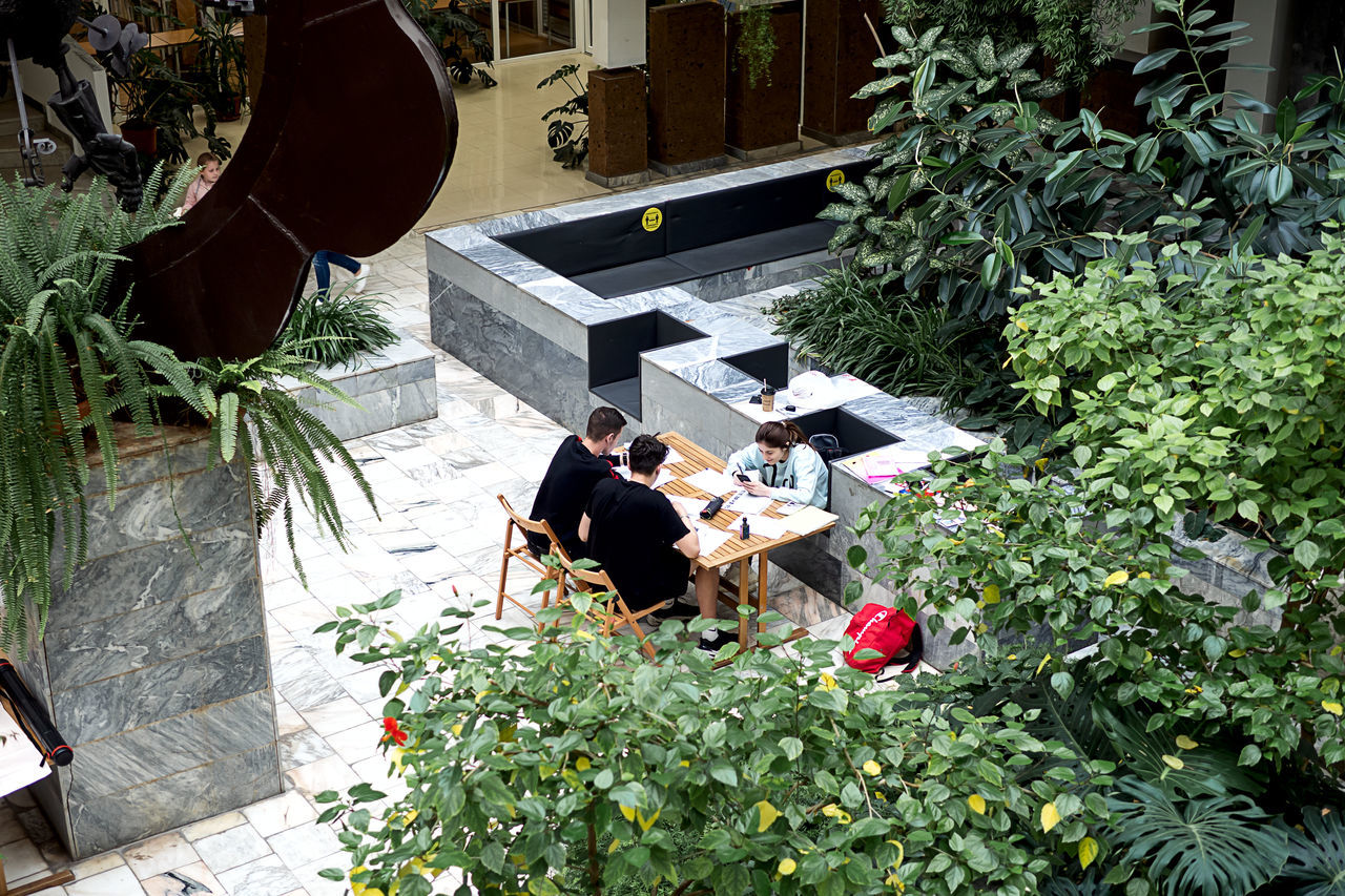 HIGH ANGLE VIEW OF PEOPLE STANDING BY PLANTS