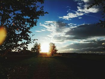 Silhouette trees on field against sky at sunset