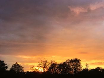 Low angle view of silhouette trees against sky during sunset