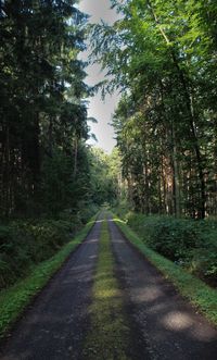 Narrow road along trees on landscape