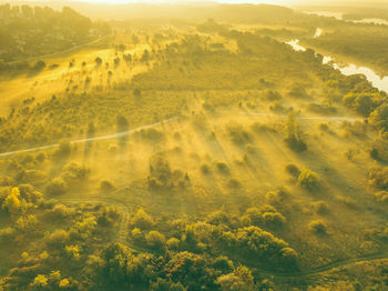 High angle view of trees on landscape against sky