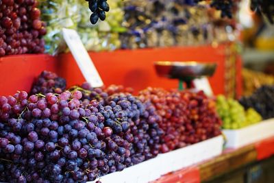 Fruits for sale at market stall