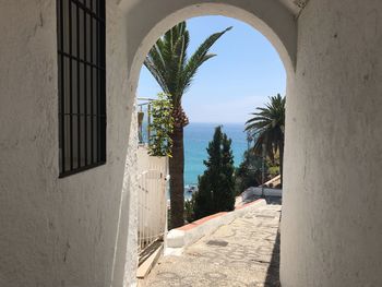 View of palm trees and buildings seen through window