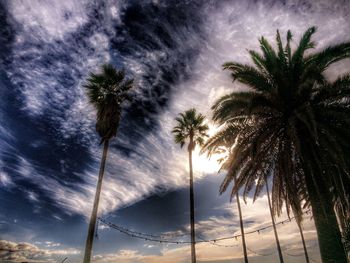Silhouette of palm trees against cloudy sky