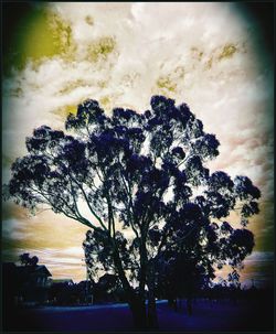 Silhouette trees against sky during sunset