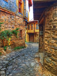 Houses against sky