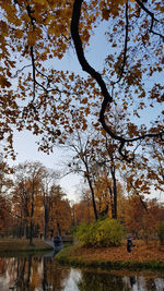 Trees by lake against sky during autumn