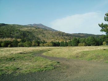 Scenic view of field against sky