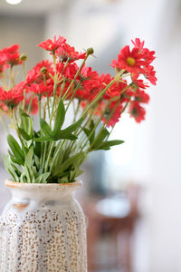 Close-up of red flowering plant in vase