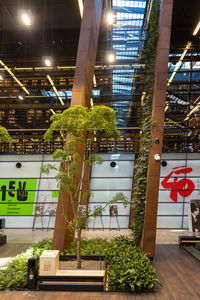 Low angle view of illuminated building at night