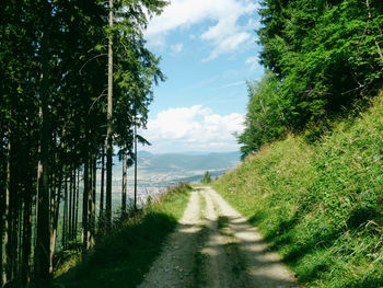 Road amidst trees against sky