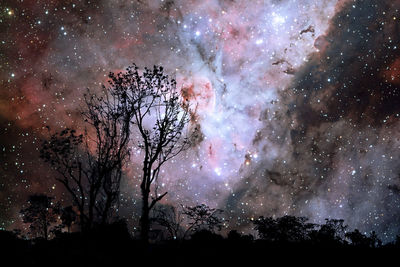 Silhouette trees against sky at night