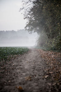 Surface level of dirt road on field against sky