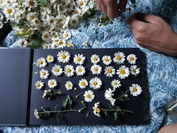 Midsection of person holding white flowering plants