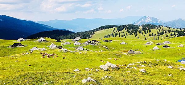 Scenic view of field and mountains against sky