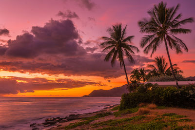 Scenic view of sea against sky during sunset  - beautiful hawaiian sunset