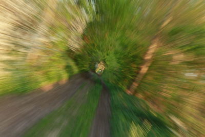 Full frame shot of spider