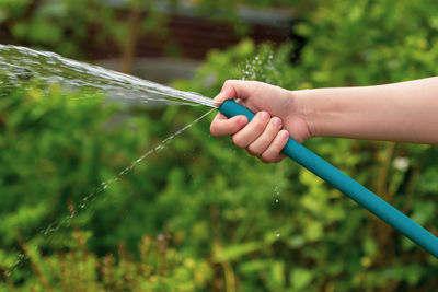 Person spraying water from garden hose at back yard