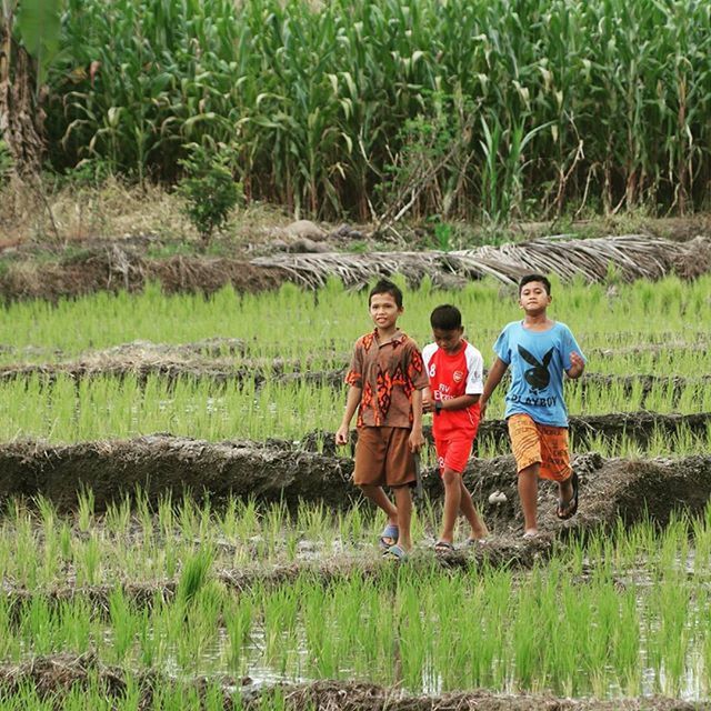 lifestyles, casual clothing, childhood, boys, leisure activity, bonding, elementary age, full length, togetherness, person, love, girls, grass, field, green color, family, growth